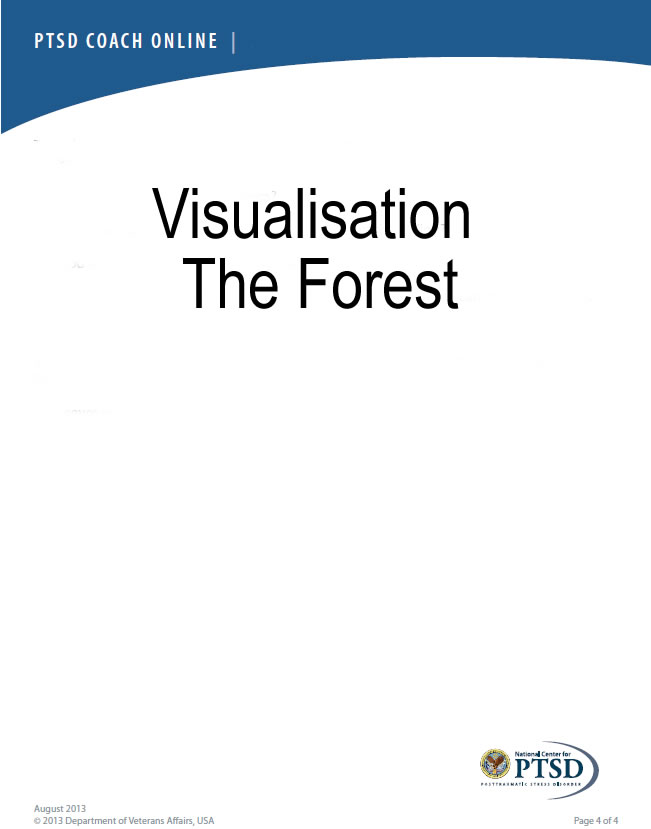 visualization-the-forest-transcript